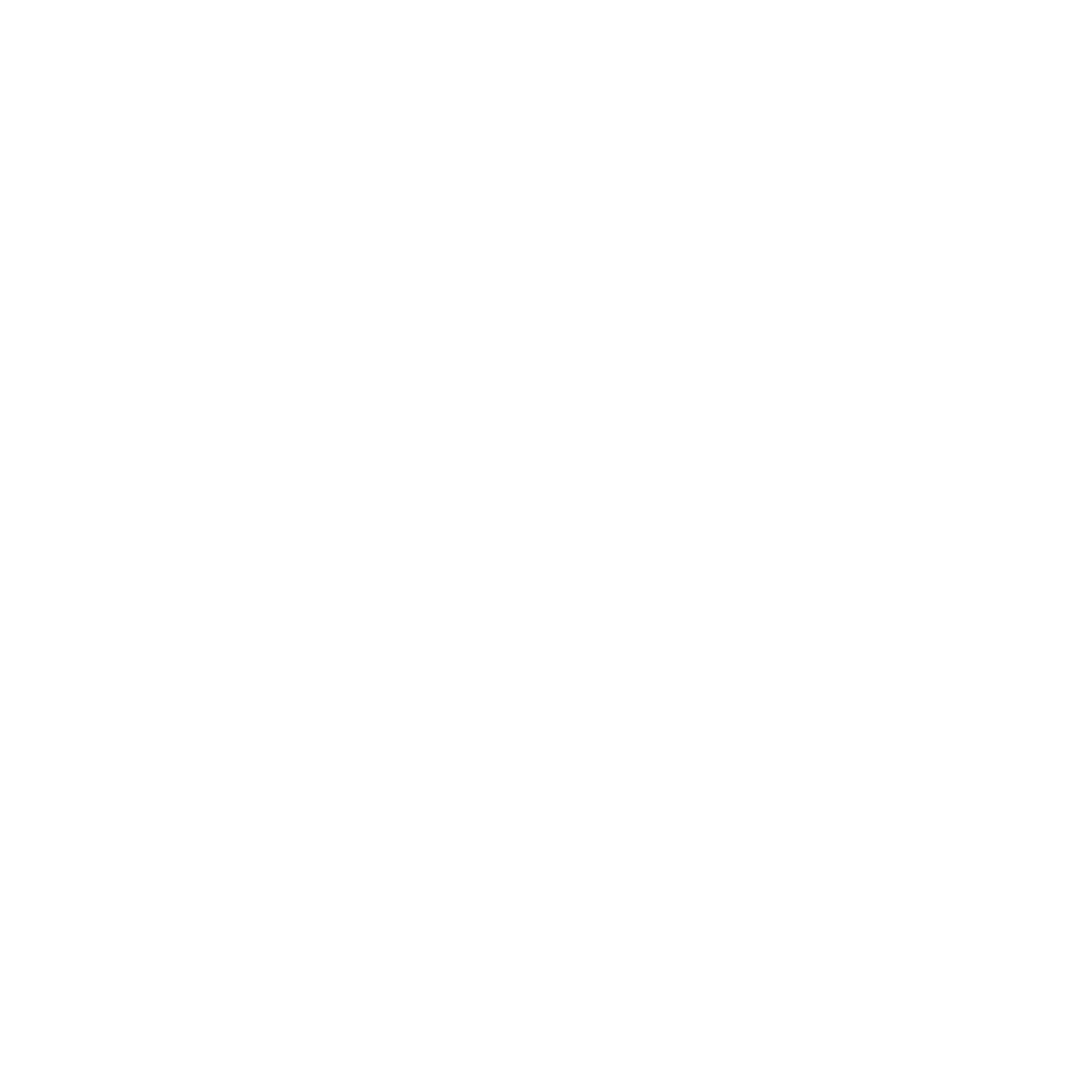 Icon TikTok